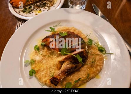 Meerschweinchen mit Risotto Stockfoto