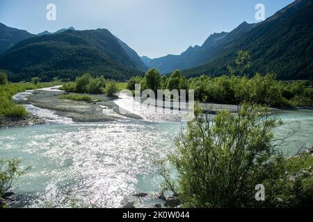 Die renaturierte Auenlandschaft des Inn bei Samedan und Bever im Engadin, Schweiz Stockfoto