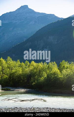 Die renaturierte Auenlandschaft des Inn bei Samedan und Bever im Engadin, Schweiz Stockfoto