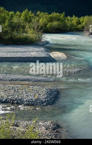 Die renaturierte Auenlandschaft des Inn bei Samedan und Bever im Engadin, Schweiz Stockfoto