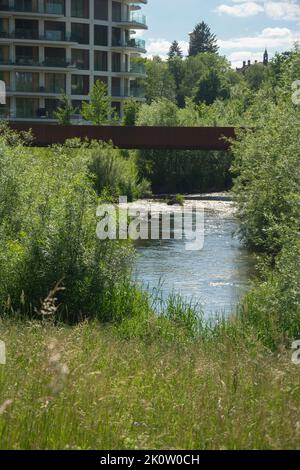 Die renaturierte Sorne in Delémont, gelungenes Projekt insbesondere Renaturierung und Überschwemmungsschutz Stockfoto