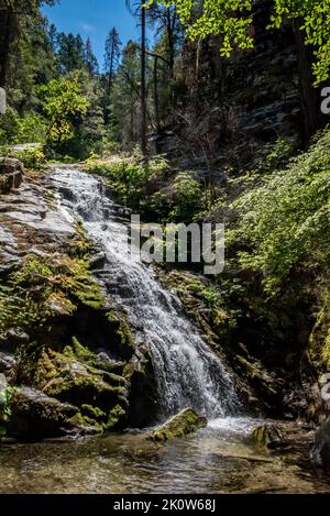 Lower Whiskeytown Falls, Teil eines 220 Meter hohen Wasserfalls, der durch eine anstrengende Wanderung im nationalen Erholungsgebiet erreicht wird. Shasta County, Nordkalifornien. Stockfoto