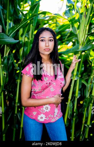 Herbstfest Porträt einer jungen asiatischen Frau in einem Maislabyrinth Stockfoto