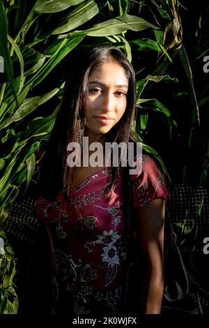 Herbstfest Porträt einer jungen asiatischen Frau in einem Maislabyrinth Stockfoto