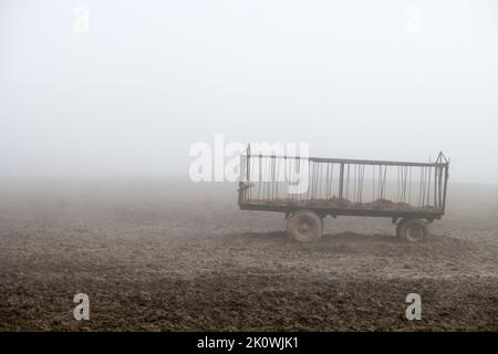 Alte landwirtschaftliche Anhänger für Heutransport auf Weiden für Rinder. Foto im nebligen, schlammigen Herbstwetter. Stockfoto