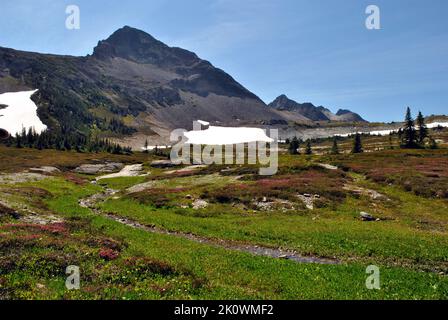 Illal Mountain, Meadow und Meandering Creek Stockfoto