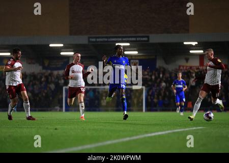 Paris Maghoma #19 von AFC Wimbledon in Aktion während des Sky Bet League 2-Spiels AFC Wimbledon gegen Northampton Town im Cherry Red Records Stadium, Merton, Großbritannien, 13.. September 2022 (Foto von Carlton Myrie/Nachrichtenbilder) Stockfoto