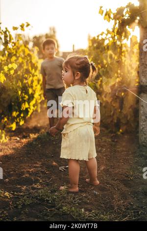 Porträt eines Jungen und seiner kleinen Schwester, die in einem schönen sonnigen Herbstweingarten mit reifen Trauben spielt. Lustige Familie. Lächelndes, glückliches Kind. Glücklich Stockfoto