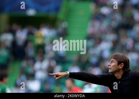 Lissabon, Portugal. 13. September 2022. Tottenhams Cheftrainer Antonio Conte zeigt sich während des UEFA Champions League-Spiel der Gruppe D zwischen Sporting CP und Tottenham Hotspur am 13. September 2022 in Lissabon, Portugal. Quelle: Pedro Fiuza/Xinhua/Alamy Live News Stockfoto