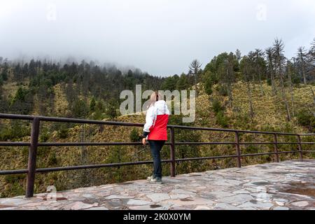 Eine Frau aus weißem und rotem Regenmantel blickt auf den nebligen Wald. Reiselust Reisekonzept, Raum für Text, atmosphärischer epischer Moment. Stockfoto