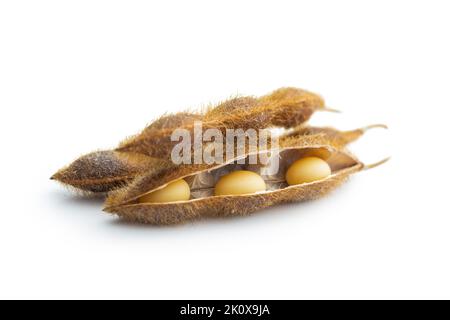 Sojabohnen. Getrocknete Sojabohnenschote isoliert auf weißem Hintergrund. Stockfoto