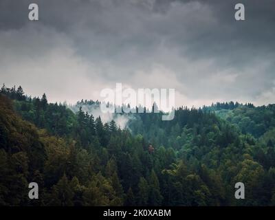 Friedliche Herbstszene in den Karpaten mit Mischwald auf den Hügeln an einem düsteren Tag. Natürliche Herbstlandschaft im Wald, regnerisches Wetter Stockfoto