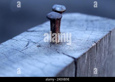 Nägel auf Holz. Zwei Nägel an das Holzholz genagelt. Stockfoto