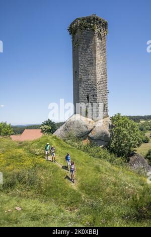 Auvergne. Haute-Loire (43). Sur le chemin de Compostelle (Via Podiensis) qui traverse la Margeride, entre Haute-Loire et Lozere, les marcheurs sous l Stockfoto