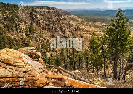 Mogollon Rim Escarpment, Blick von der Forest Road 300 (Rim Road), im Frühling, Colorado Plateau, Coconino National Forest, in der Nähe von Payson, Arizona, USA Stockfoto