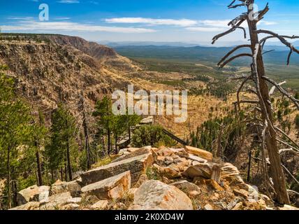 Mogollon Rim Escarpment, Blick von der Forest Road 300 (Rim Road), im Frühling, Colorado Plateau, Coconino National Forest, in der Nähe von Payson, Arizona, USA Stockfoto