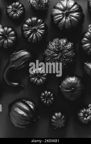 Verschiedene Arten von kleinen Kürbissen in schwarz auf dunklem Hintergrund platziert gemalt Stockfoto