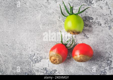 Tomatenkrankheiten - Blütenendfäule durch Kalziummangel verursacht Stockfoto