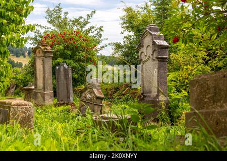 Grabsteine auf einem alten Friedhof, der mit Gras bewachsen ist Stockfoto