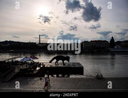 Prag, Tschechische Republik. 13. September 2022. Riesenstatue eines Hundes Vulpes Gott des tschechischen Künstlers Frantisek Skala auf dem Böschung in Prag, Tschechische Republik, 13. September 2022. Die Skulptur wird am 27. September auf dem Schiff nach Dresden transportiert und dort in der tschechischen Saison an der Elbe installiert. Kredit: Roman Vondrous/CTK Foto/Alamy Live Nachrichten Stockfoto