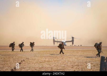 South Goulburn Island, Australien. 31. August 2022. U.S. Marines with India Co., 3D Bataillon, 7. Marine Regiment, Ground Combat Element, Marine Rotational Force-Darwin (MRF-D) 22, Ankunft auf South Goulburn Island, Australien über U.S. Marine Corps MV-22 Ospreys mit Marine Medium Tiltrotor Squadron 268 verstärkt, Aviation Combat Element, MRF-D 22, August. 31, 2022. Bei der Übung Expeditionary Advanced Base Operations handelte es sich um eine Force-on-Force-Schulung, bei der die Fähigkeit der MRF-D, die Bereitstellung weiterzuleiten und Expeditions-Advanced-Basen einzurichten, trainiert wurde.= (Bildnachweis: © U.S. Marines/ZUMA Press Wire Ser Stockfoto