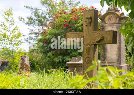 Grabsteine auf einem alten Friedhof, der mit Gras bewachsen ist Stockfoto