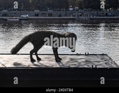 Prag, Tschechische Republik. 13. September 2022. Riesenstatue eines Hundes Vulpes Gott des tschechischen Künstlers Frantisek Skala auf dem Böschung in Prag, Tschechische Republik, 13. September 2022. Die Skulptur wird am 27. September auf dem Schiff nach Dresden transportiert und dort in der tschechischen Saison an der Elbe installiert. Kredit: Roman Vondrous/CTK Foto/Alamy Live Nachrichten Stockfoto