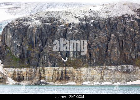 Alkefjellet ist die berühmteste Klippe des Spitzbergen-Archipels. Es ist eine Vogelklippe mit Blick auf den Hinloopen Fjord. Spitzbergen, Norwegen. Stockfoto