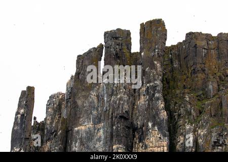 Alkefjellet ist die berühmteste Klippe des Spitzbergen-Archipels. Es ist eine Vogelklippe mit Blick auf den Hinloopen Fjord. Spitzbergen, Norwegen. Stockfoto