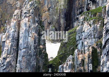 Alkefjellet ist die berühmteste Klippe des Spitzbergen-Archipels. Es ist eine Vogelklippe mit Blick auf den Hinloopen Fjord. Spitzbergen, Norwegen. Stockfoto