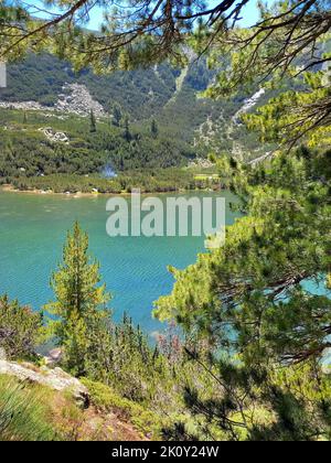 Karkamski See, Bulgarien, Pirin Berge Kiefernwald, Sommerlandschaft Stockfoto