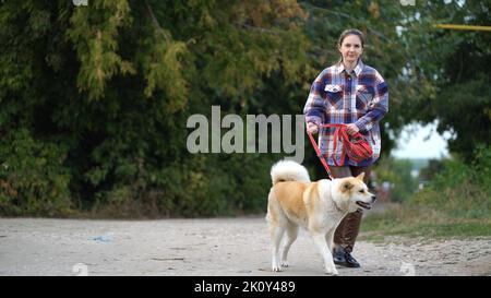Frau in kariertem Hemd hält Akita-Inu-Hund an roter Leine beim Spaziergang im Freien Stockfoto