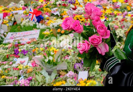 Frau legt Blumen als Teil einer Blumenverbeugung nach dem Tod der Queen, Green Park, London Stockfoto