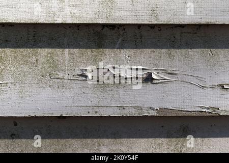 Man kann die Farbe aus der Nähe betrachten, die sich im frühen Morgenlicht von einer Spanplatte abschält und Schimmel zeigt. Stockfoto