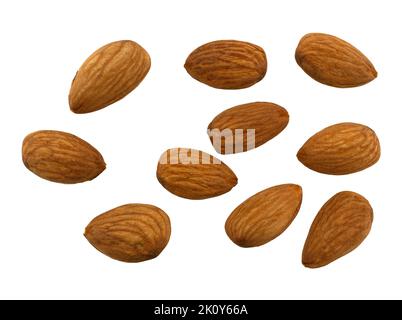 Ansicht von oben einer mittleren Gruppe von Mandelnüssen isoliert auf weißem Hintergrund. Stockfoto