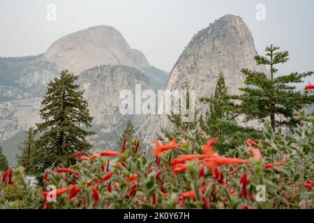 Liberty Cap und Half Dome mit roten Blumen im Vordergrund an einem rauchigen Tag Stockfoto