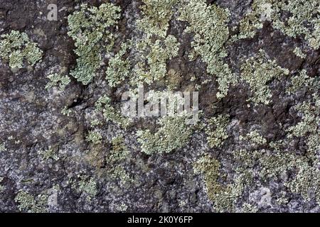 Nahsicht auf einen Granit gehauen Stein mit Flechten im frühen Morgenlicht bedeckt. Stockfoto