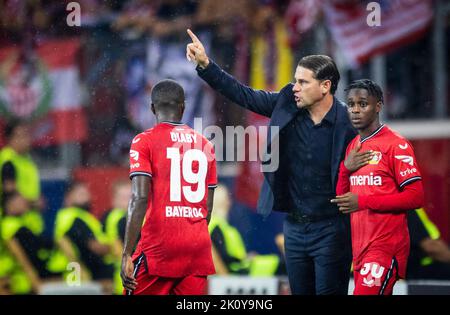 Trainer Gerardo Seoane (Leverkusen), Moussa Diaby (Leverkusen), Jeremie Frimpong (Leverkusen) Bayer Leverkusen - Atletico Madrid 13.09.2022, Fußball; Stockfoto