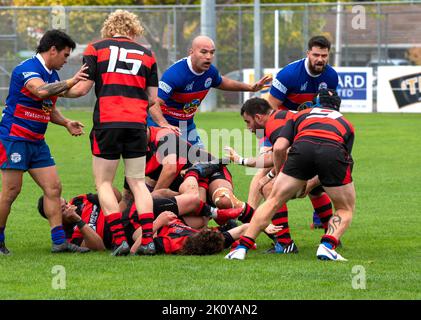 club Rugby in Neuseeland zwischen otaki und waikanae mit Männern, die ernsthaft Fußball spielen Stockfoto