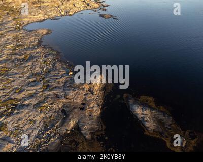 Luftaufnahme der Meereslandschaft mit Klippen und ruhigem Meer bei Sonnenuntergang. Drohnenfotografie von oben im Sommer in Schweden. Speicherplatz kopieren. Stockfoto