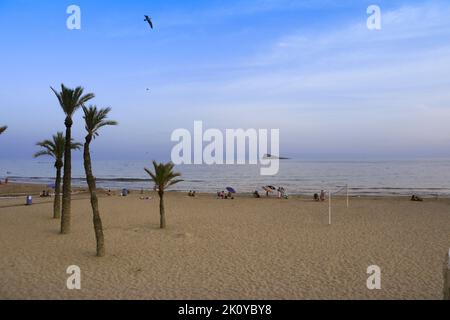 Benidorm, Alicante, Spanien - 11. September 2022: Poniente Strand mit seinen wunderschönen kalifornischen Palmen. L'illa Insel im Hintergrund Stockfoto
