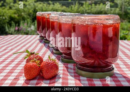 Eine Reihe von umgedrehten Gläsern mit frischer hausgemachter Erdbeermarmelade und drei Erdbeeren auf einem Tisch mit einer rot karierten Tischdecke. Stockfoto