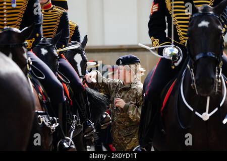 Pferde, die als Mitglieder der Königstruppe der Royal Horse Artillery in der Wellington Barracks im Zentrum von London eingesetzt werden, werden vor der feierlichen Prozession des Sarges von Königin Elizabeth II. Vom Buckingham Palace zur Westminster Hall in London angefahren. Bilddatum: Mittwoch, 14. September 2022. Stockfoto