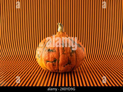 Frischer orangefarbener Kürbis auf orangefarbenem und schwarz gestreiften Hintergrund. Horizontaler Halloween-Hintergrund. Stockfoto