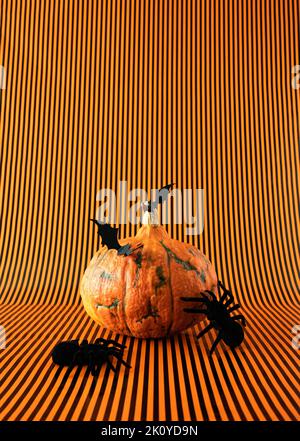 Frischer orangefarbener Kürbis mit schwarzen Fledermäusen und Spinnen auf orangefarbenem und schwarzem abgestreiften Hintergrund. Vertikaler Halloween Hintergrund. Stockfoto