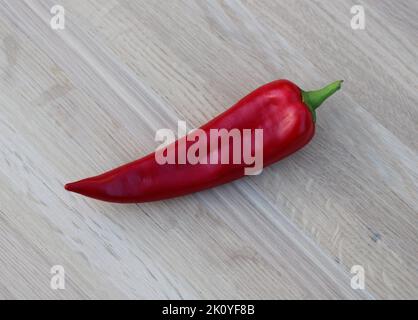 Ein großer reifer Hatch Chilli Pfeffer Stockfoto