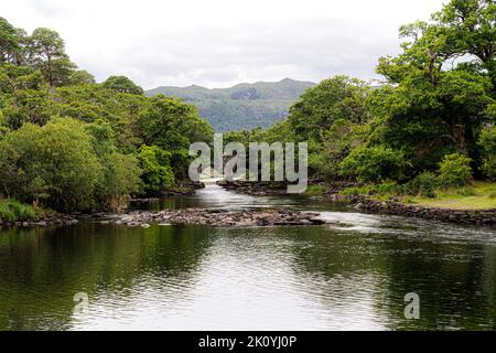 Treffen der Gewässer, Killarney.. Hier verschmelzen alle drei herrlichen Seen von Killarney mit der alten Weir Bridge. Stockfoto