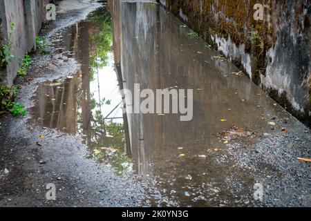 Wassereinschlag während des Monsuns auf den Straßen der indischen Stadt Dehradun. Stockfoto