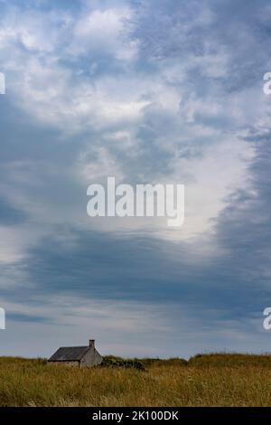Verlassene verlassene Gebäude unter Gras in St Cyrus NNR, aberdeenshire, schottland, großbritannien Stockfoto