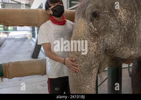 Elefantenpfleger beruhigt Elefantenchand Nuan, als sie im „Friends of the Asian Elephant Hospital“ eine Elektroakupunktur erhält. Das Friends of the Asian Elephant Hospital im Norden Thailands ist das erste Elefantenkrankenhaus der Welt. Seit 1993 behandelt sie Elefanten mit Beschwerden, die von Augeninfektionen bis zu Landminenverletzungen reichen. (Foto von Ana Norman Bermudez / SOPA Images/Sipa USA) Stockfoto